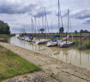 Randonnée à Plassac et exploration de l'histoire de la commune - Plassac - 8