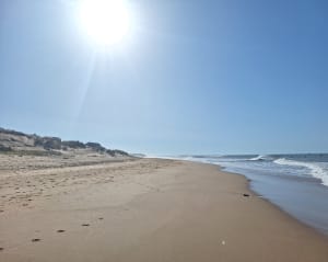 Wandeling tussen bos en strand in La Tranche-sur-Mer - La Tranche-sur-Mer - 10
