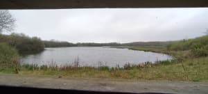 Découverte des marais et de la baie de la canche - Camiers - 28