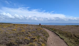Een korte rondleiding door Cape Goat - Crozon - 171