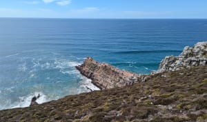 Een korte rondleiding door Cape Goat - Crozon - 172