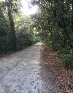 Sortie à vélo de Saint-Pierre-d'Oléron à Gautrelle par Boyardville - Saint-Pierre-d'Oléron - 11