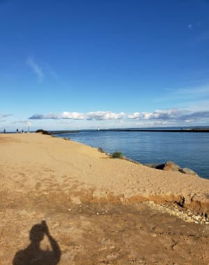 Sortie à vélo de Saint-Pierre-d'Oléron à Gautrelle par Boyardville - Saint-Pierre-d'Oléron - 14