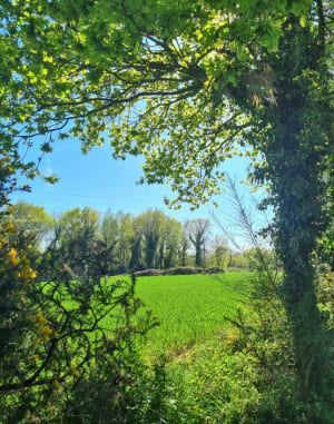 La campagne à Kerbiquette - Vannes - 5