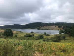 Sentier des Millevaches aux Oussines - Millevaches - 9