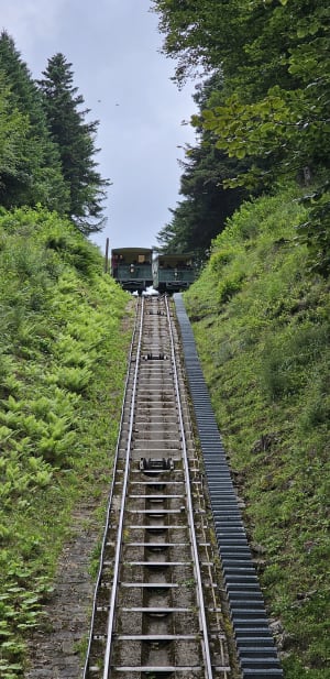 Funiculaire du capucin et descente au Mont Dore par la forêt - Le Mont-Dore - 25