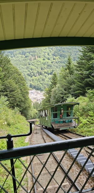 Funiculaire du capucin et descente au Mont Dore par la forêt - Le Mont-Dore - 26