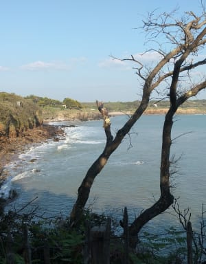 De l'anse des moines à la Baie de Cayola - Les Sables-d'Olonne - 21