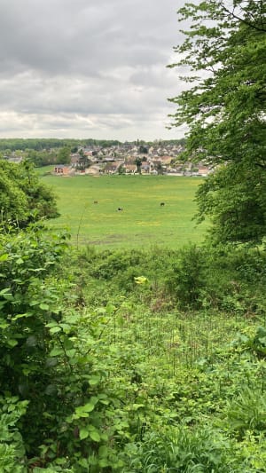 En Forêt à Clichy sous Bois - Clichy-sous-Bois - 9