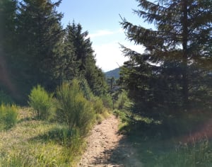 Randonnée du Puy des Gouttes. - Orcines - 7
