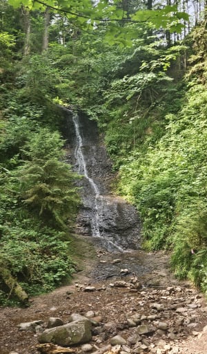 Saut de la Bourrique et Tête de Mérelle à Géradmer - Gérardmer - 31