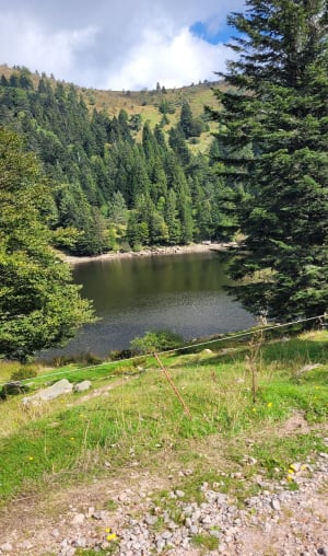 Randonnée au lac Vert, lac Forlet et crête - Soultzeren - 20