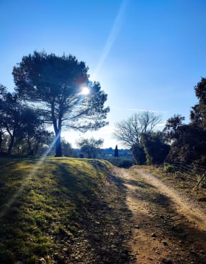 Souvignargues : sillonner un patrimoine incontournable du coin - Sylvie - 9