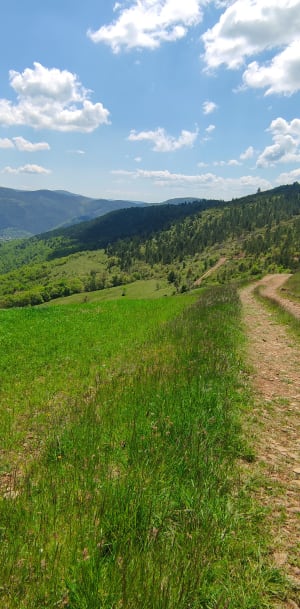 Sentier de Puecheral - Florac-Trois-Rivières - 10