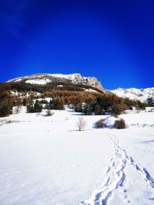 Randonnée ensoleillée aux Clots - Les Orres - 7