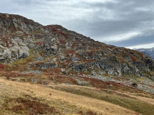 Plateau d'Emparis et sieste avec les marmottes - Col Saint Georges - 3