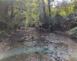 Promenade du Causse Blanc au fil de la Diège - Anastassios - 6