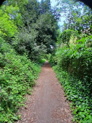 Le long de la Touloubre à Cornillon-Confoux - Cornillon-Confoux - 15