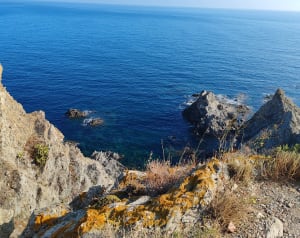 Wandel van Banyuls-sur-Mer naar Cerbère en zijn magische landschap - Banyuls-sur-Mer - 23
