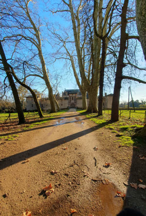 Messimy au château de la Flechère par la Saône - Messimy-sur-Saône - 13