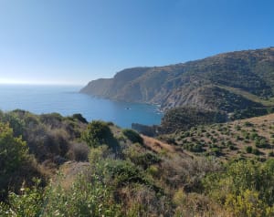 Wandel van Banyuls-sur-Mer naar Cerbère en zijn magische landschap - Banyuls-sur-Mer - 24