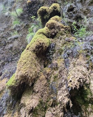 Les gorges du Gorgonnet par le chemin de la Gaffe - Saint-Gervais - 22