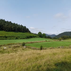 Puy de la Rodde, Puy Nain et Puy de la Combegrasse - Aydat - 13