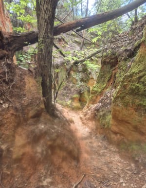 Les Ocres de Mormoiron parcours long - Mormoiron - 6