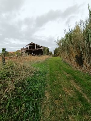 La petite boucle de la pointe - Saint-Denis-d'Oléron - 31