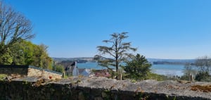 Landévennec et vue sur le cimetière des anciens bateaux - Landévennec - 14