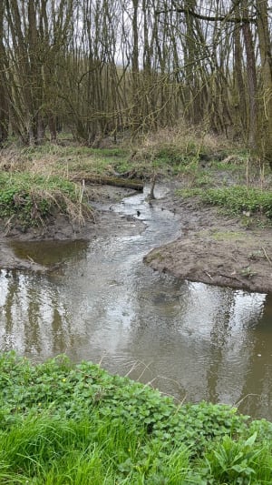 La promenade du Marais de Fretin, par le Bois des Enclos - Fretin - 44