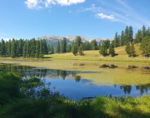 Lac de la roue- parc naturel du queyras - Château-Ville-Vieille - 11