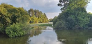 Moulin de Champcors au bois de Cicé à Bruz - Chavagne - 41