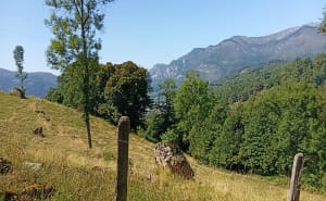 Promenade de l’Arrieulat - Lau-Balagnas - 37