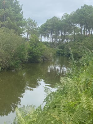 Le tour du lac d’Albret - Soustons - 32
