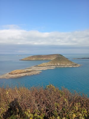 Wandel in Plouézec en bewonder de kliffen van Pointe de Bilfot - Plouézec - 11
