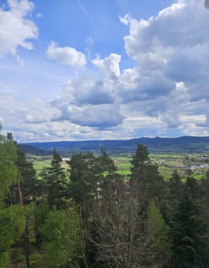 Le mirador de l'Avison à Bruyères - Bruyères - 9