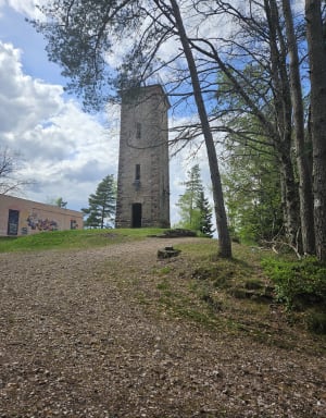 Le mirador de l'Avison à Bruyères - Bruyères - 10