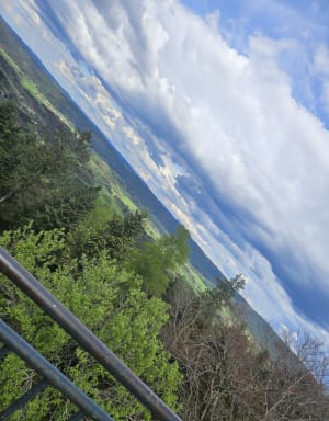 Le mirador de l'Avison à Bruyères - Bruyères - 11