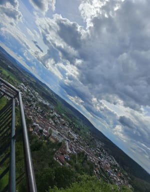 Le mirador de l'Avison à Bruyères - Bruyères - 12