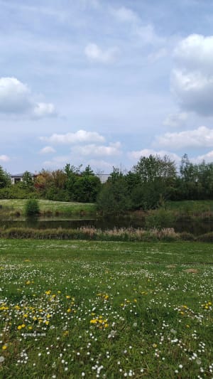 Porte d'entrée en Brie et mosaïque de paysages - Ferrières-en-Brie - 12