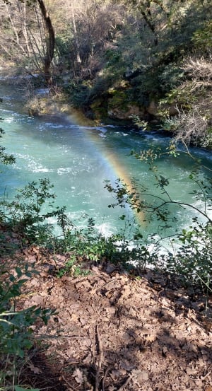 Fraîcheur magique du Caramy et authentique nature sauvage - Brignoles - 25