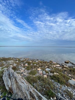 Mountainbikelus van Leucate naar Port-la-Nouvelle en La Palme - Leucate - 6