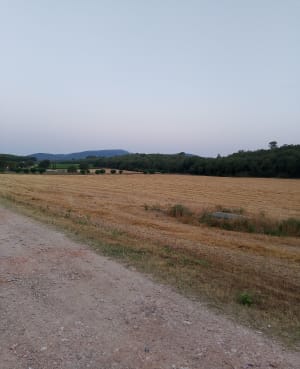 Marche nordique de Tourves par les Revests - Tourves - 4