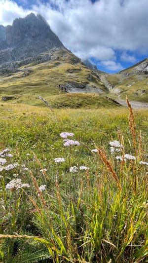 Bergwandeling in Valloire en tocht langs de 3 hooggelegen meren - Valloire - 3