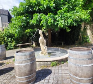Sentier st georges - Rochecorbon - 2