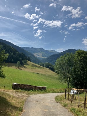 Les chalets Solliers, depuis le Mont Derrière - Bellecombe-en-Bauges - 4