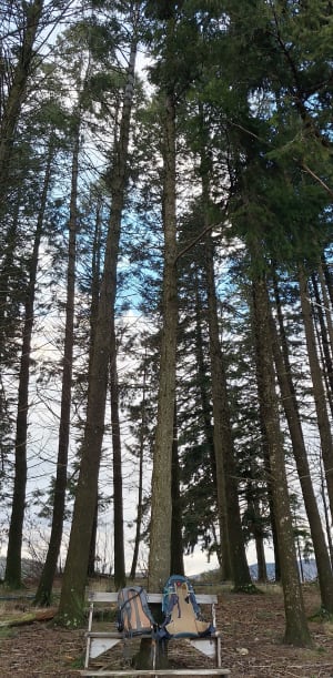 Décrassage au calme à Vernoux-en-Vivarais - Vernoux-en-Vivarais - 10