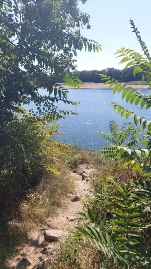 Île de Chalonnes - Chalonnes-sur-Loire - 8
