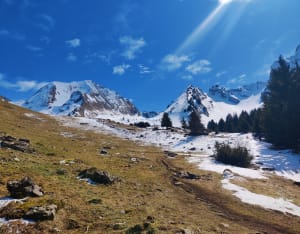 Balade au territoire des marmottes près du mont Charvin - Le Bouchet-Mont-Charvin - 14